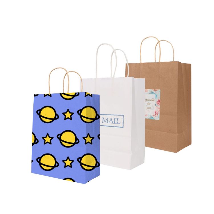 Picture of Twisted Handle Kraft Paper Bag(260x330x120mm)