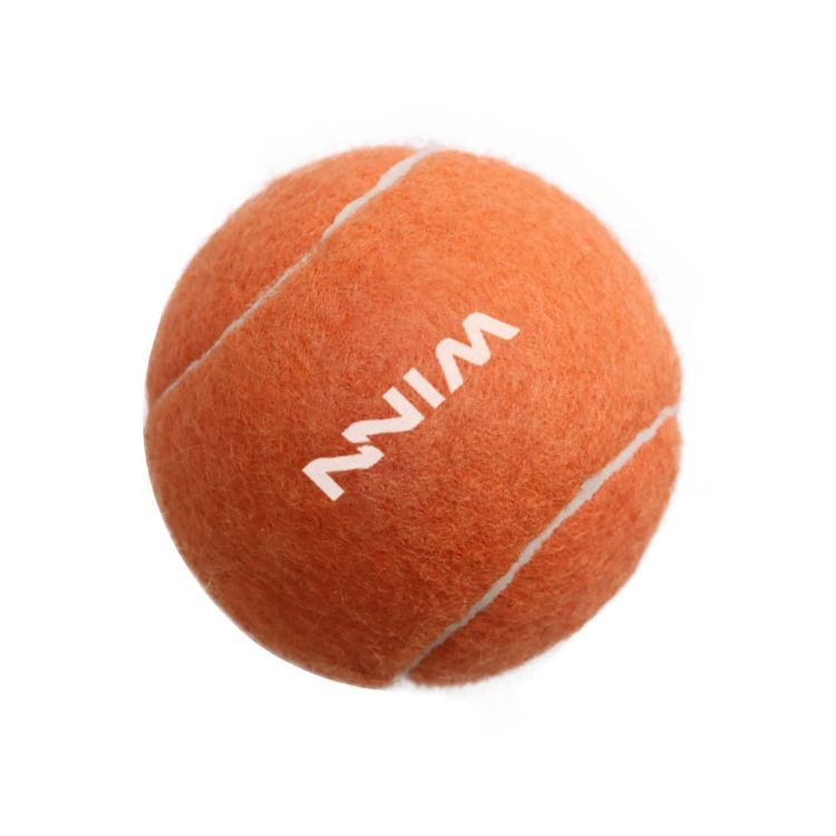Picture of Pet Tennis Ball