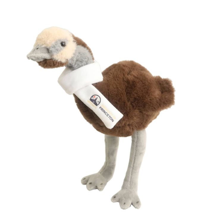 Picture of Custom Emu Plush Toy