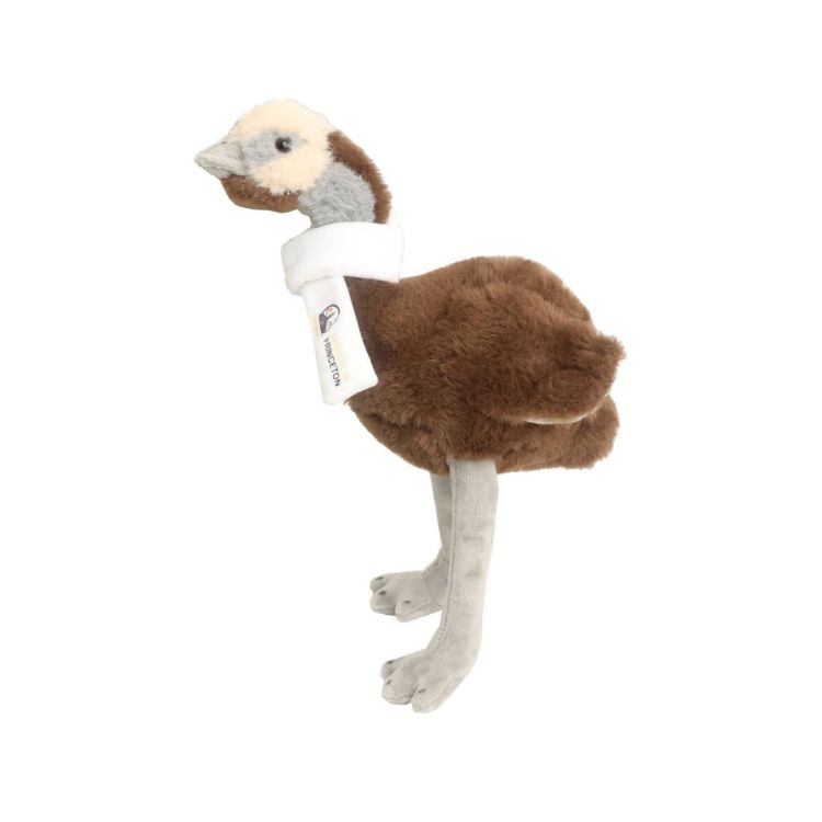 Picture of Custom Emu Plush Toy