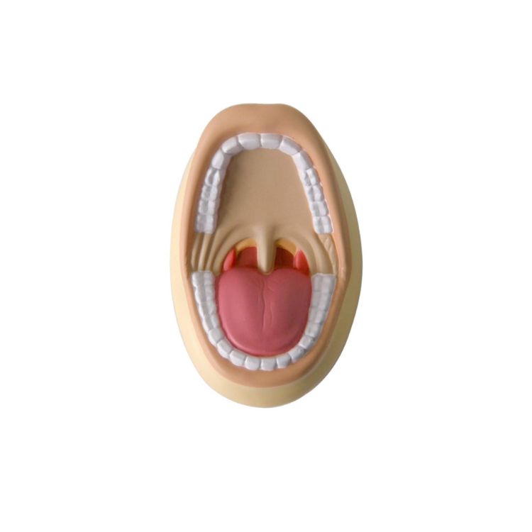 Picture of Mouth Shape Stress Reliever