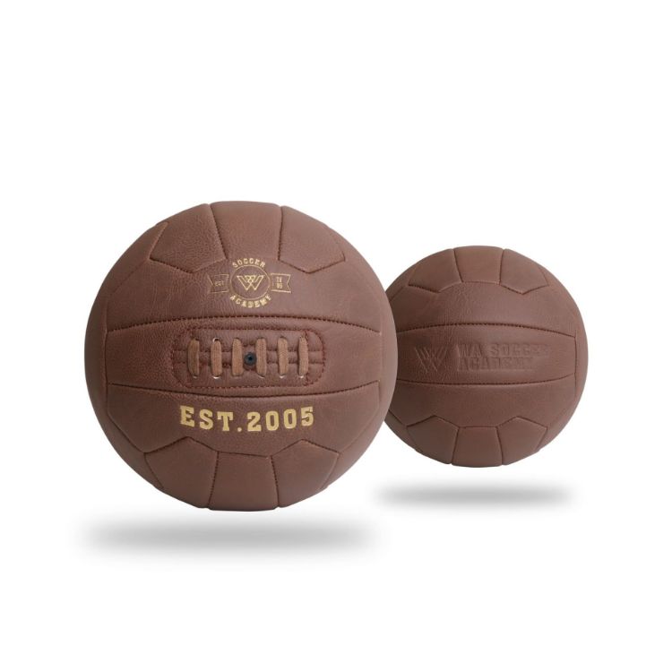 Picture of Vintage Soccer Ball