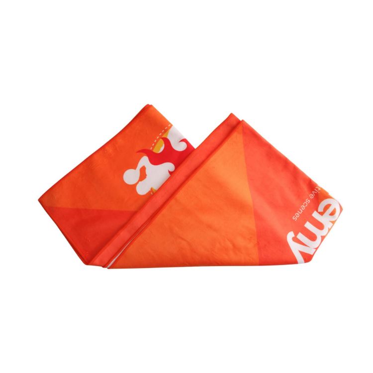 Picture of Colour Sports Towel (75x160cm)