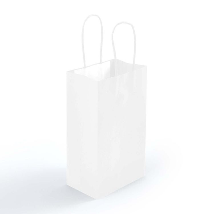 Picture of Express Paper Bag Small