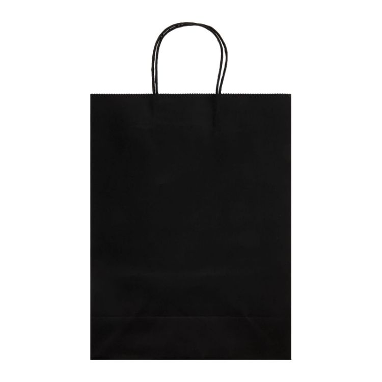 Picture of Express Paper Bag Large