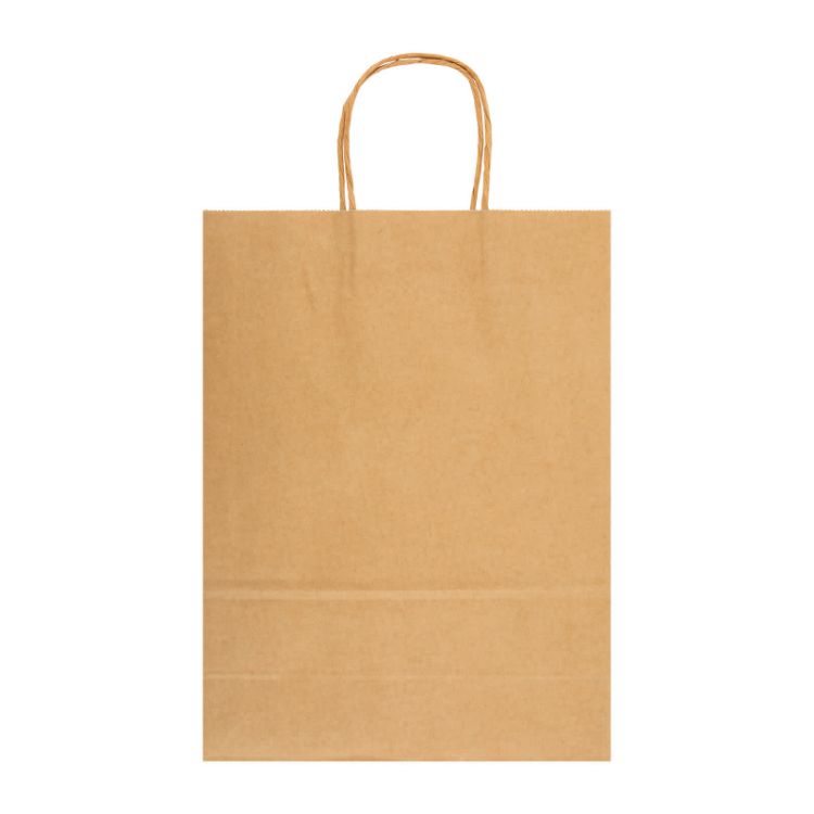 Picture of Express Paper Bag Large