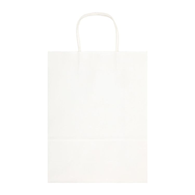 Picture of Express Paper Bag Large