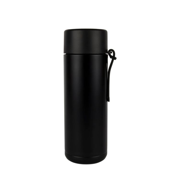 Picture of Zara 600ml Steel Bottle