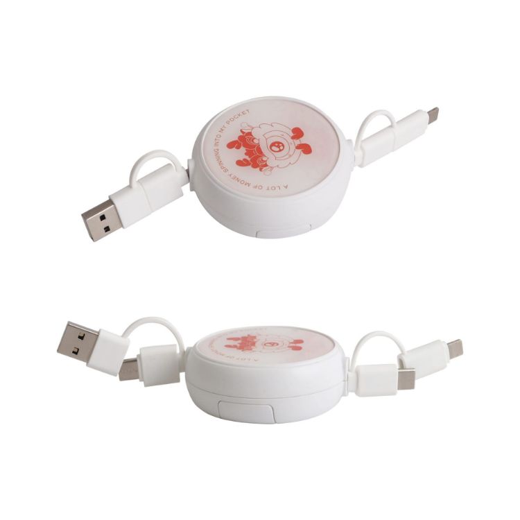 Picture of Retractable Portable Charging Cable