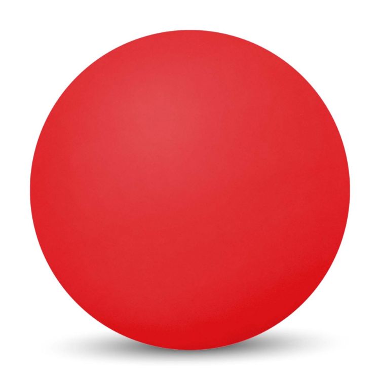 Picture of Fun High Bounce Ball