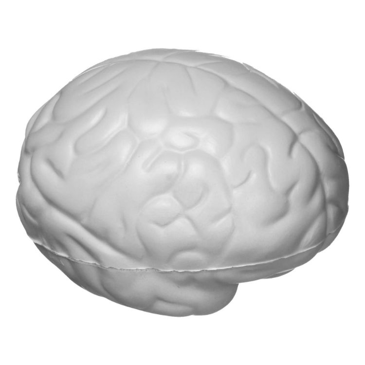 Picture of Stress Brain