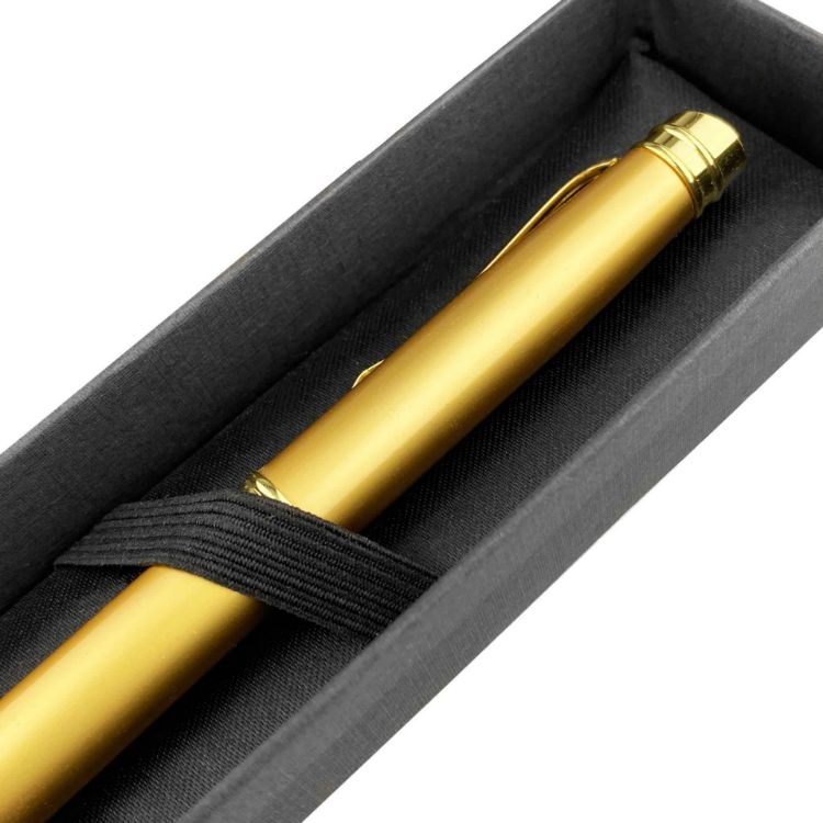 Picture of Single Presenter