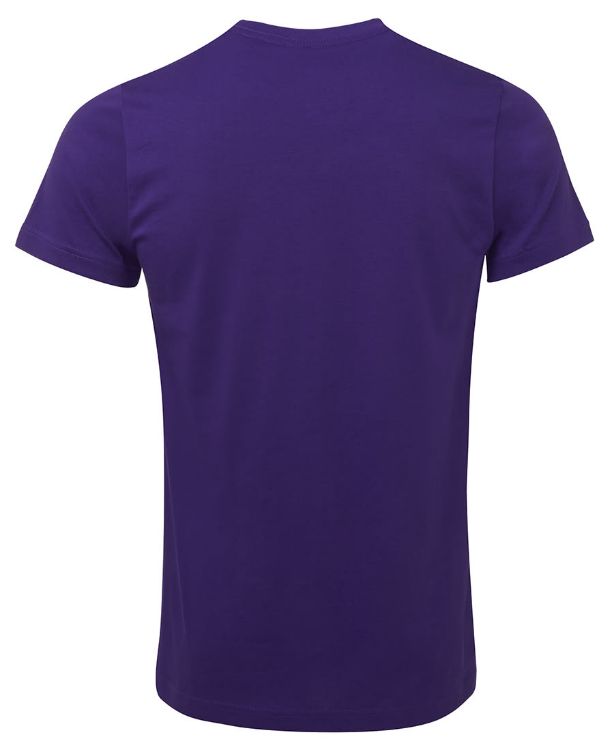 Picture of C of C Fitted Tee