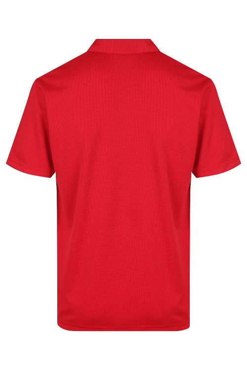 Picture of BOTANY MENS POLOS