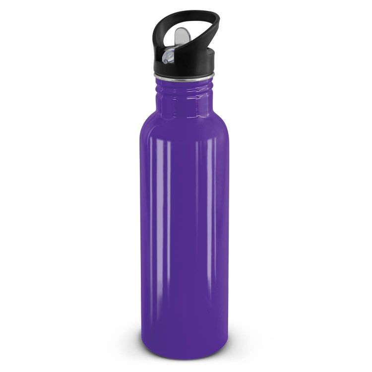 NomadBottlepurple