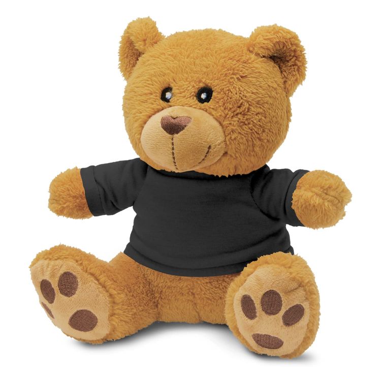 Picture of Teddy Bear Plush Toy