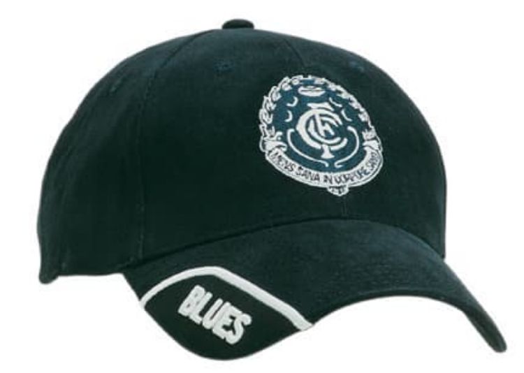 Picture of Brushed Heavy Cotton Cap with Trimmed Peak Insert