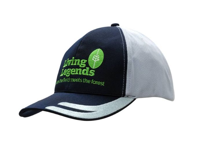 Picture of Brushed Heavy Cotton Cap & Cool Dry Fabric with Embroidered Design on Peak
