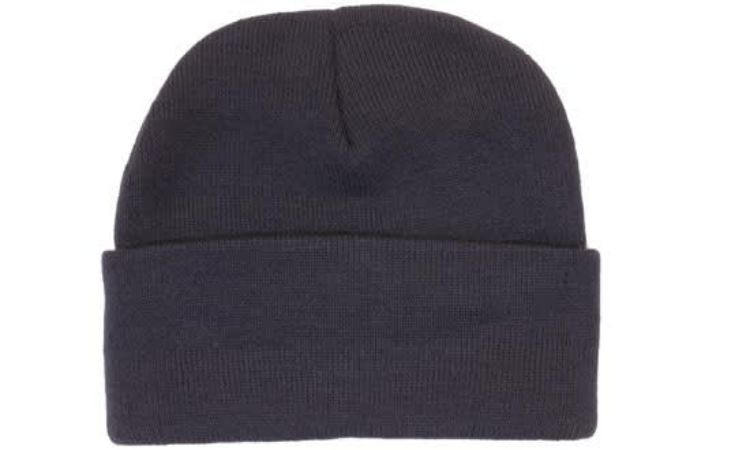 Picture of Acrylic Beanie with Thinsulate Lining