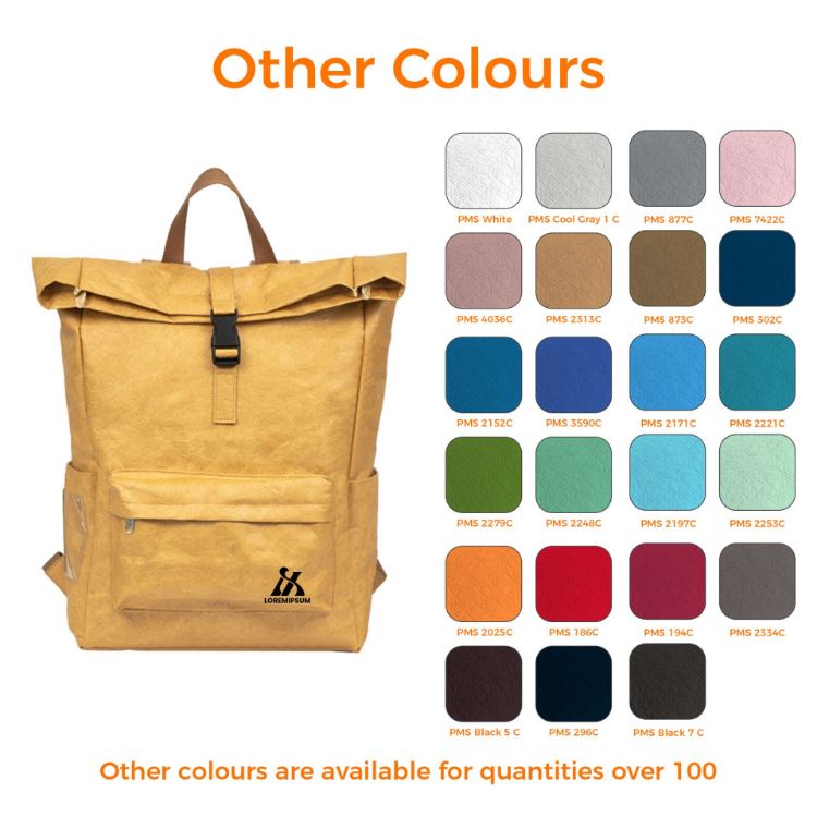 Picture of Tyvek Roll Top Backpack