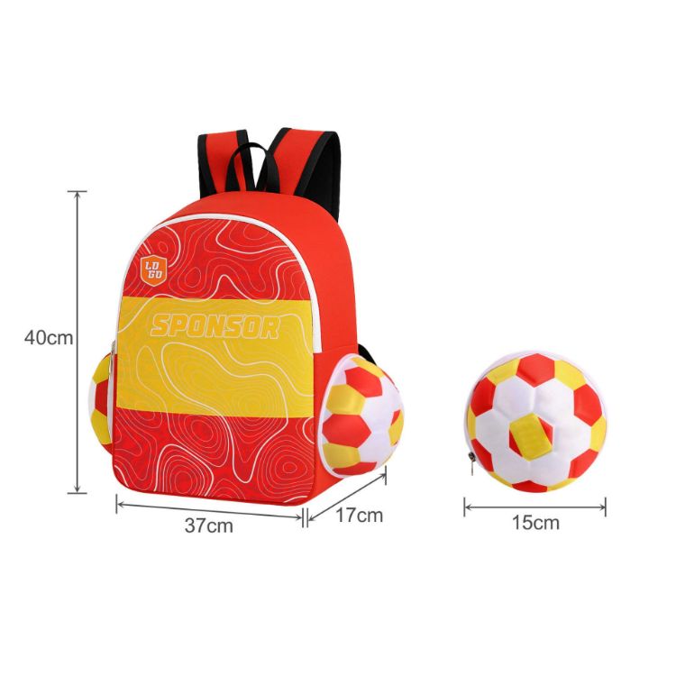 Picture of Full Colour Foldable Backpack