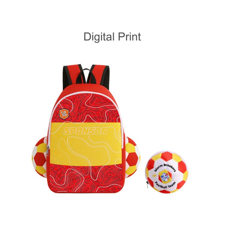 Picture of Full Colour Foldable Backpack