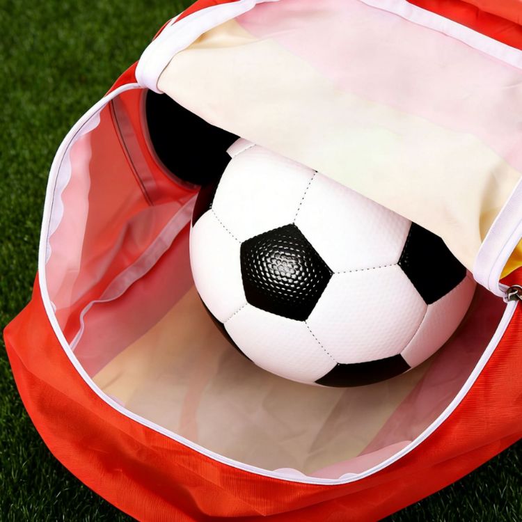 Picture of Full Colour Foldable Backpack