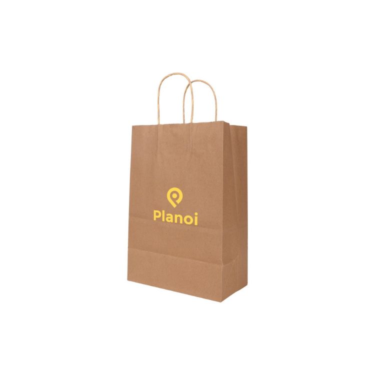 Picture of Twisted Handle Kraft Paper Bag (220x160x80mm)