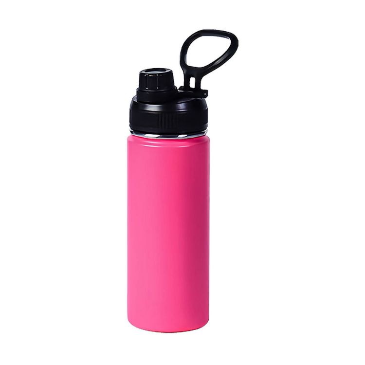 Picture of 450ML Stainless Steel Double Wall Vacuum Drink Bottle with Carry Handle