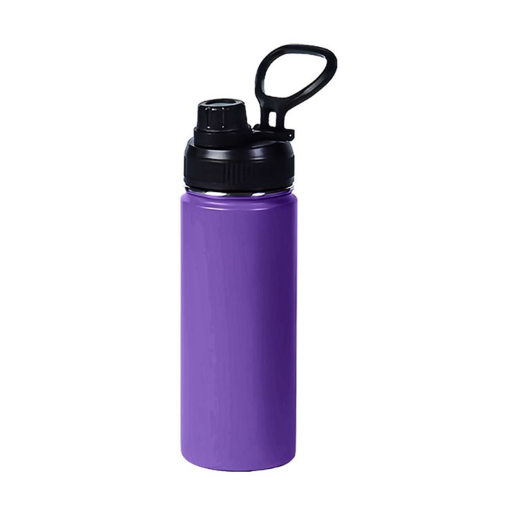 Picture of 450ML Stainless Steel Double Wall Vacuum Drink Bottle with Carry Handle