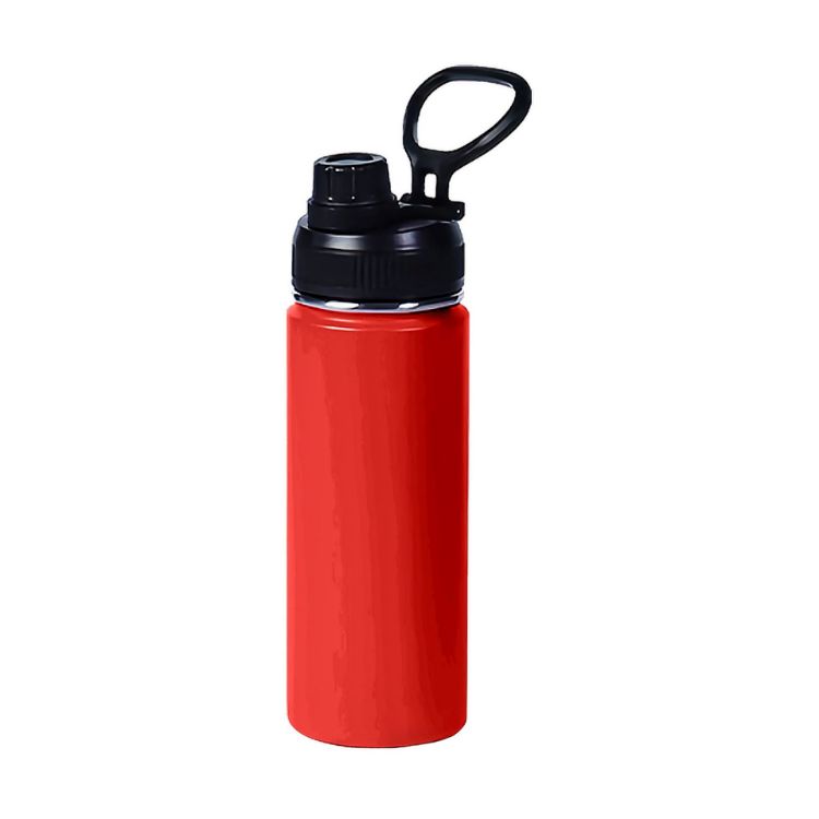 Picture of 450ML Stainless Steel Double Wall Vacuum Drink Bottle with Carry Handle