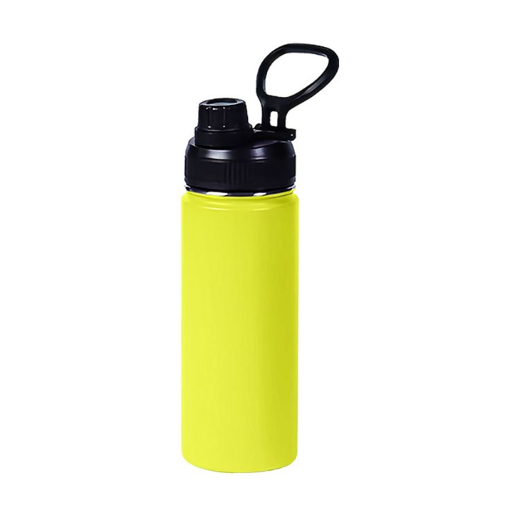 Picture of 450ML Stainless Steel Double Wall Vacuum Drink Bottle with Carry Handle