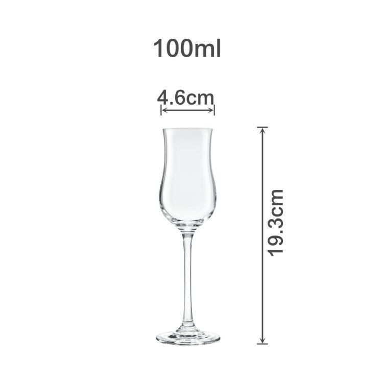 Picture of Tulip Wine Glass