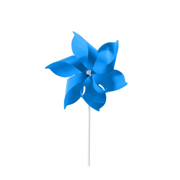 Picture of Six-leaf Pinwheel