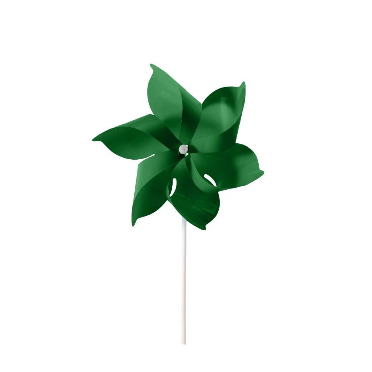 Picture of Six-leaf Pinwheel