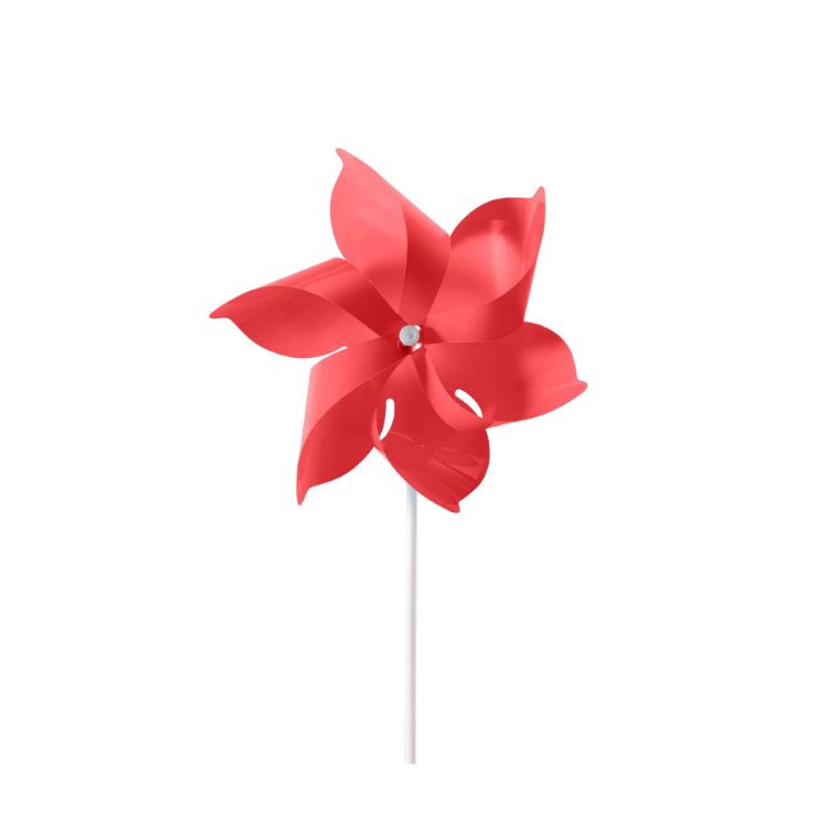 Picture of Six-leaf Pinwheel