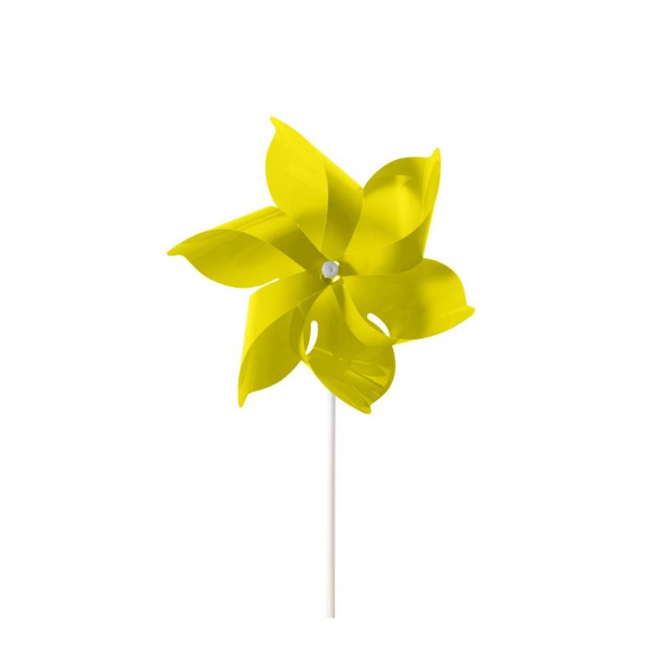 Picture of Six-leaf Pinwheel