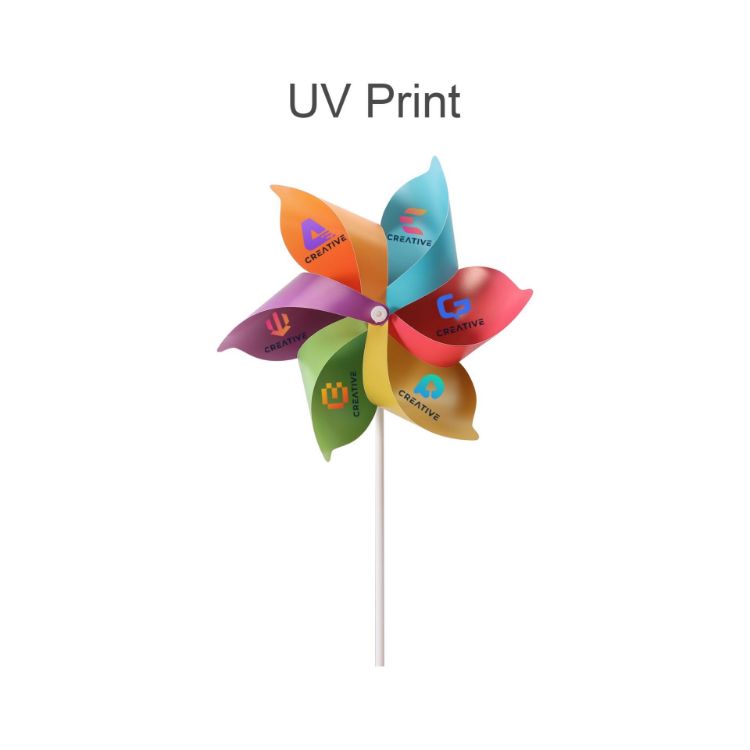 Picture of Six-leaf Pinwheel