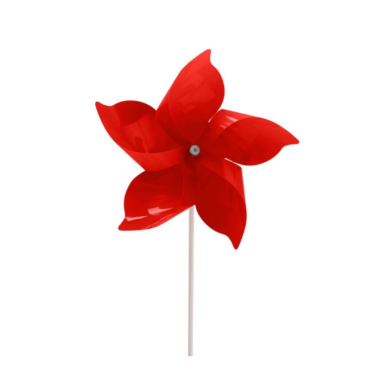 Picture of Five-leaf Pinwheel
