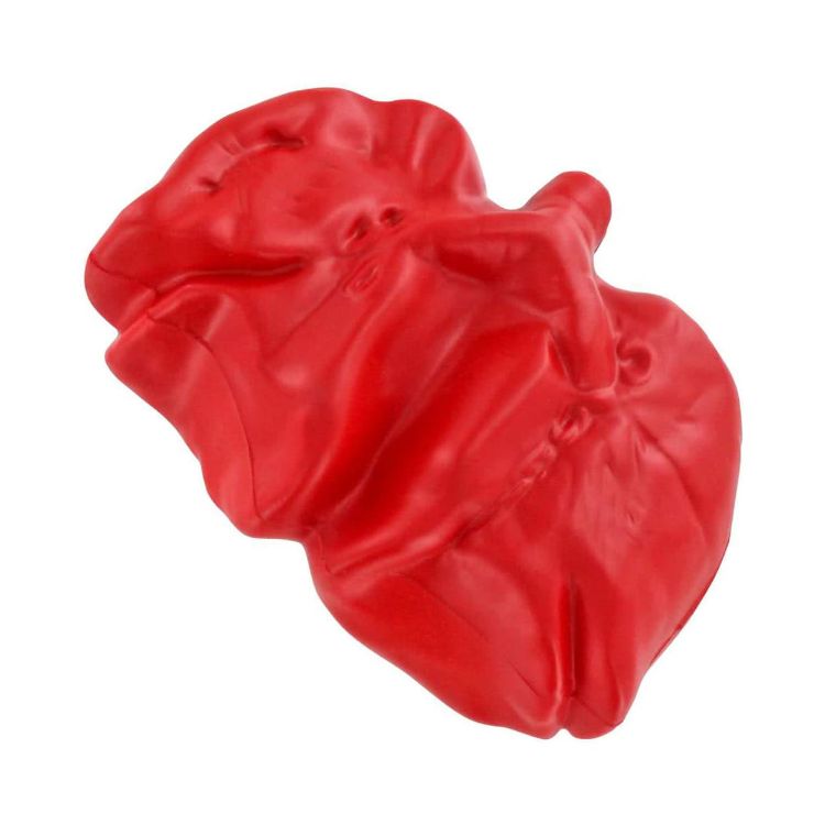 Picture of Lung Shape Stress Reliever