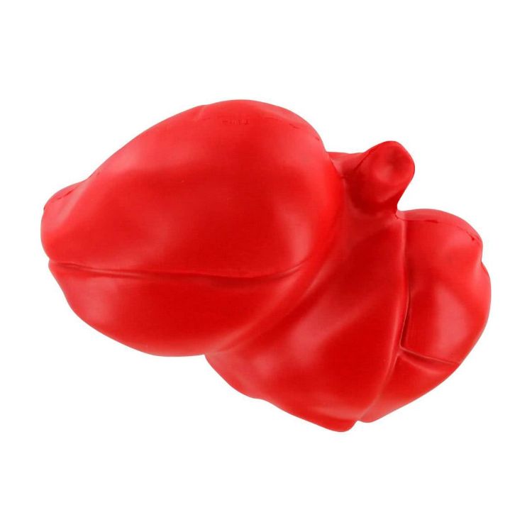 Picture of Lung Shape Stress Reliever