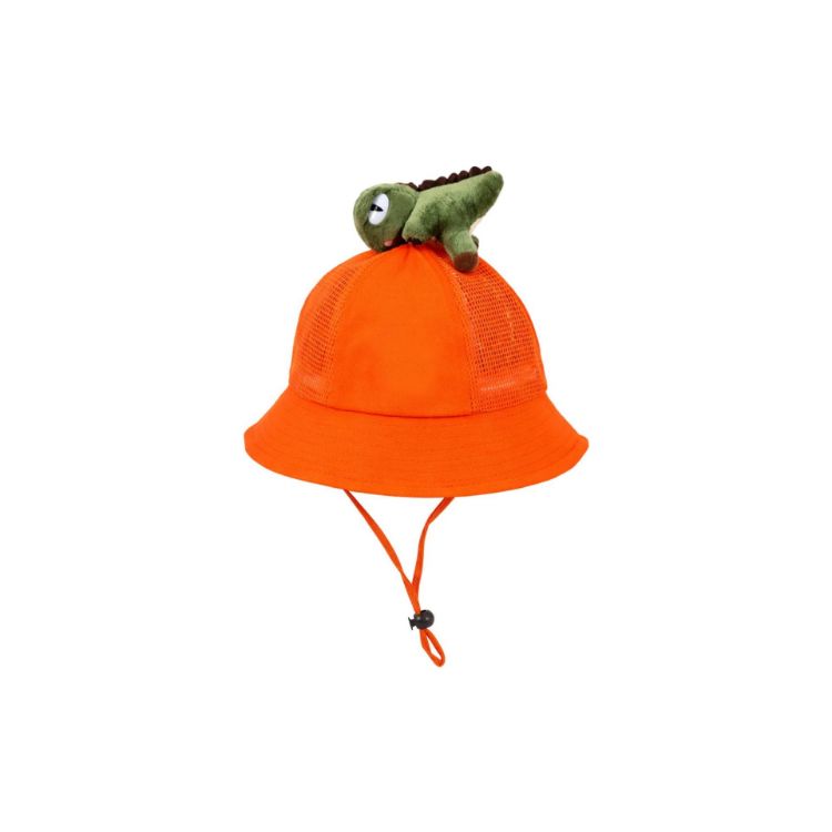 Picture of Dinosaur Bucket Hat