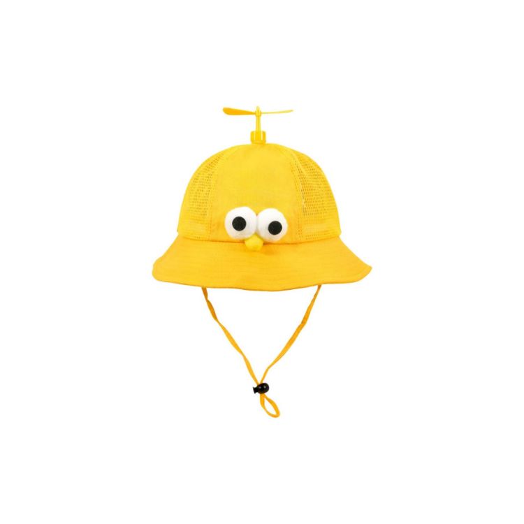 Picture of Propeller Hat