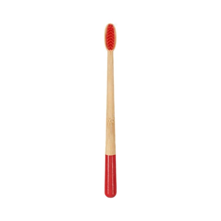 Picture of Large Conical Handle Colorful Toothbrush