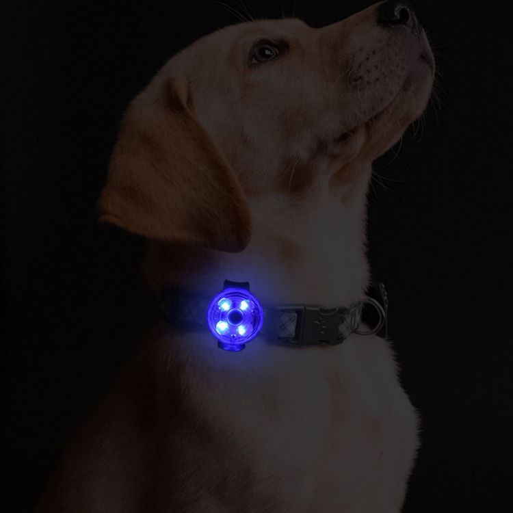 Picture of LED Pet Collar Light