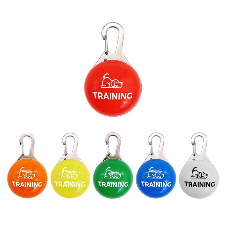 Picture of Dog Walking LED Light