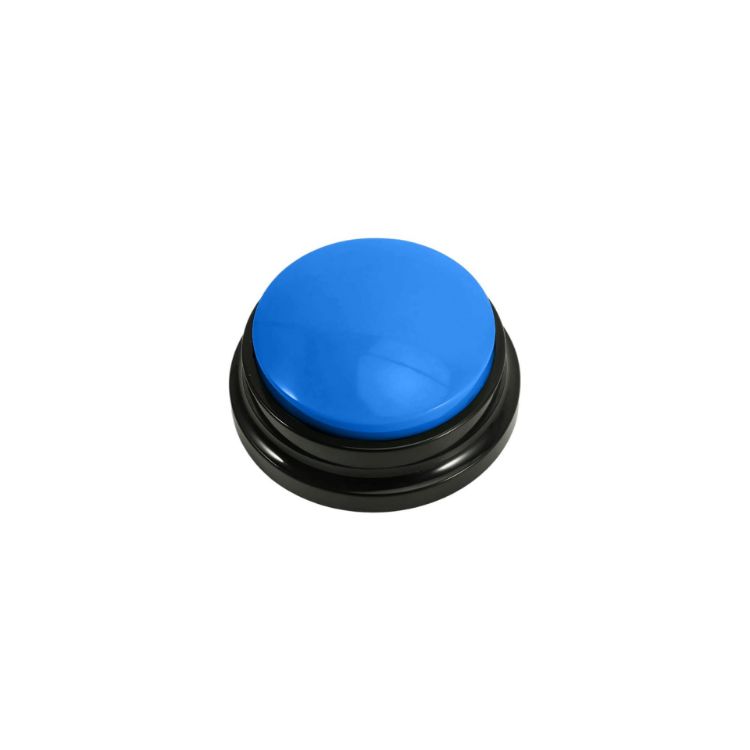 Picture of Voice Recording Button