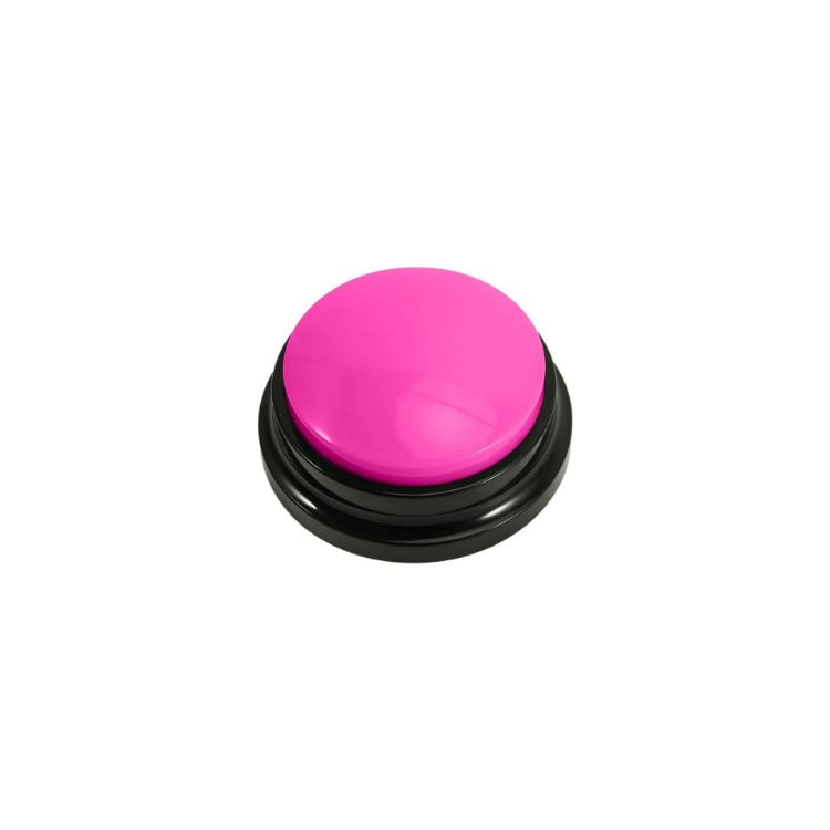 Picture of Voice Recording Button