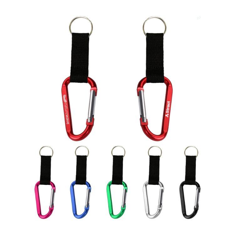 Picture of Carabiner Keychain
