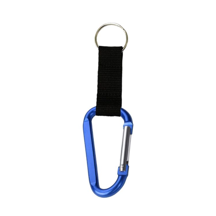 Picture of Carabiner Keychain